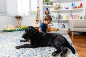 Young boy sitting on rug patting Autism Assistance Dog.